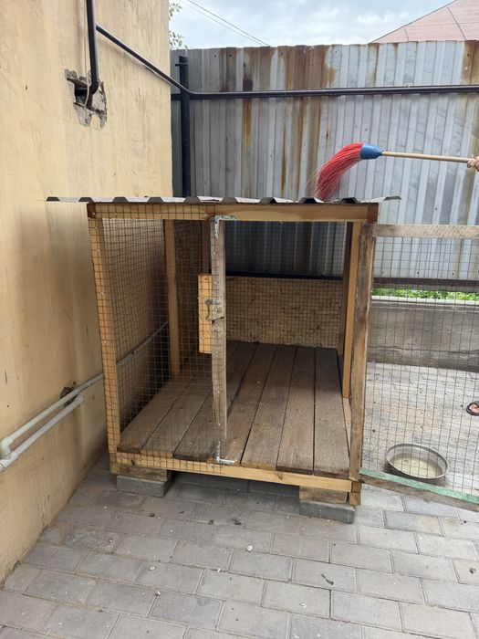 Клетка размкры 1*2