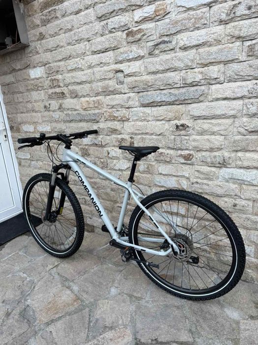 MTB Companion M4.0 29/M