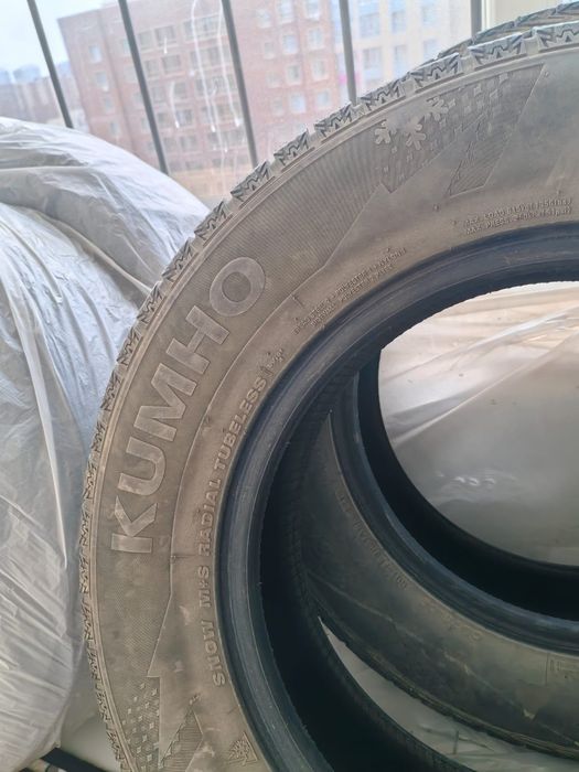Авторизины, шины