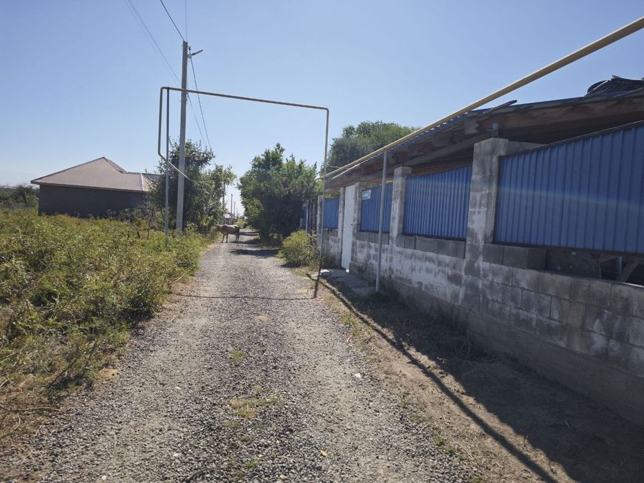 Дачный участок, земля