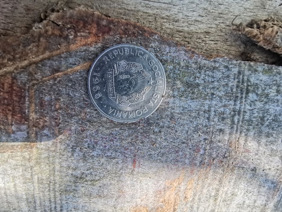 Moneda 1 leu din 1966
