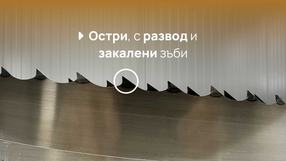 PREMIUM Банцигова Лента за разкрояване на трупи - всякакъв размер
