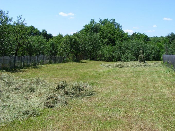 Teren intravilan 2368 mp Tipari, jud. Timis