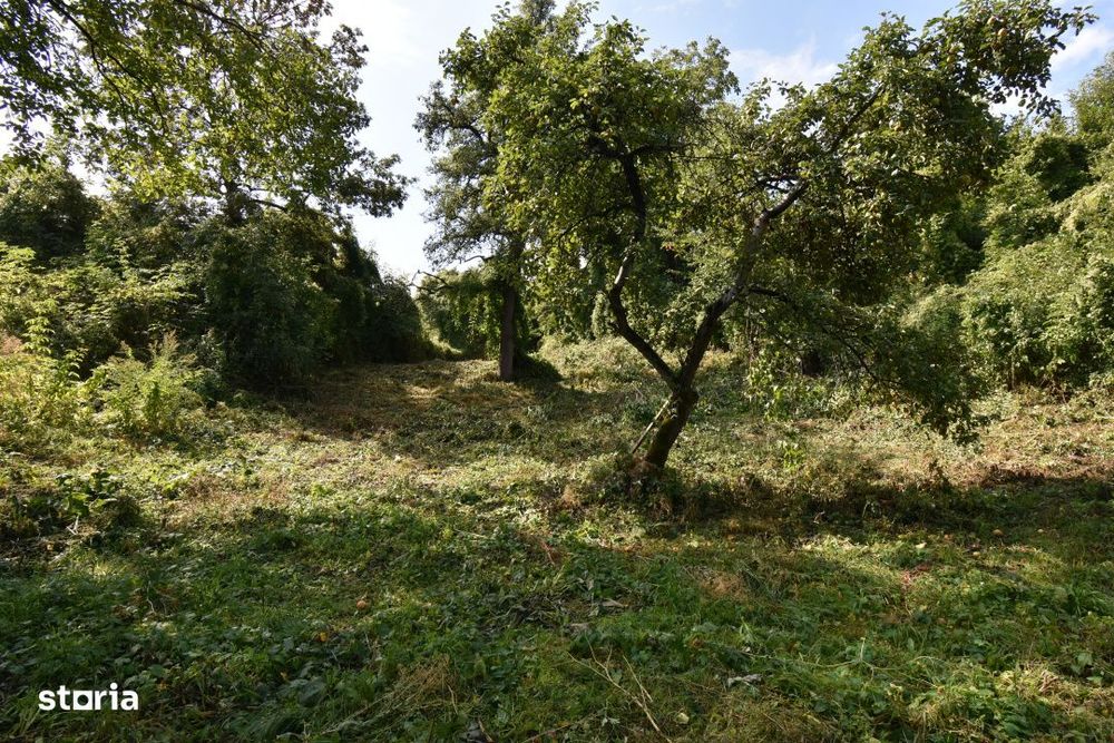 Casa demolabila in sat Gheorghieni (com Feleacu) teren 1547mp intravil