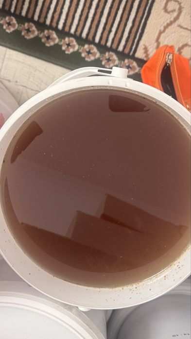 Продается Лепсинский мёд