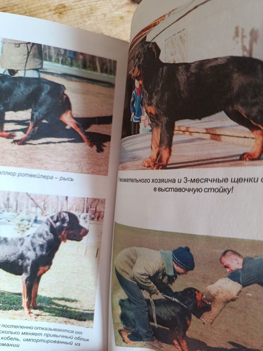 Книги  ротвейлер