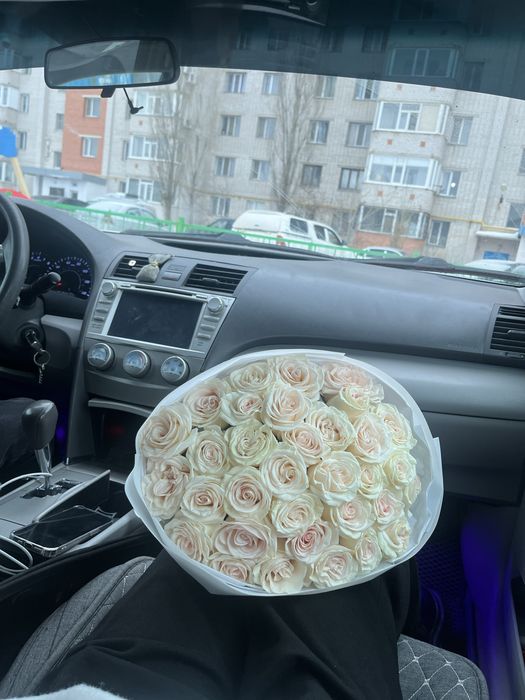 Роза 32 шт свежий