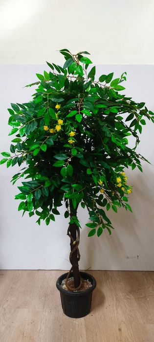 Искусственные деревья и растения