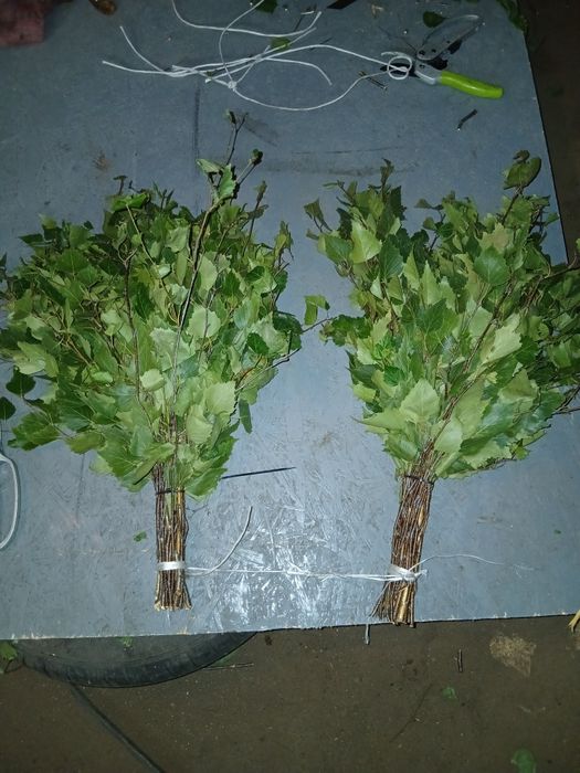 Продам банный берёзовый веник