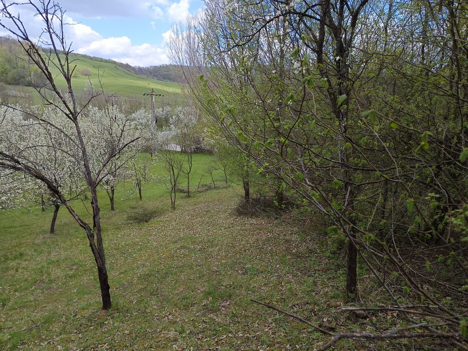 Vând teren extravilan 3700 m2