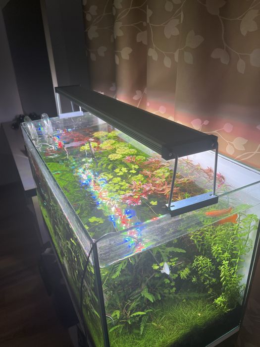 Lampa acvariu LED Twinstar IV 600EA