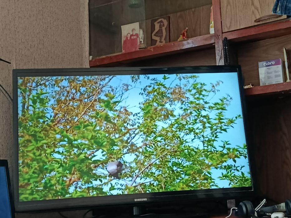 Телевизор Самсунг 43