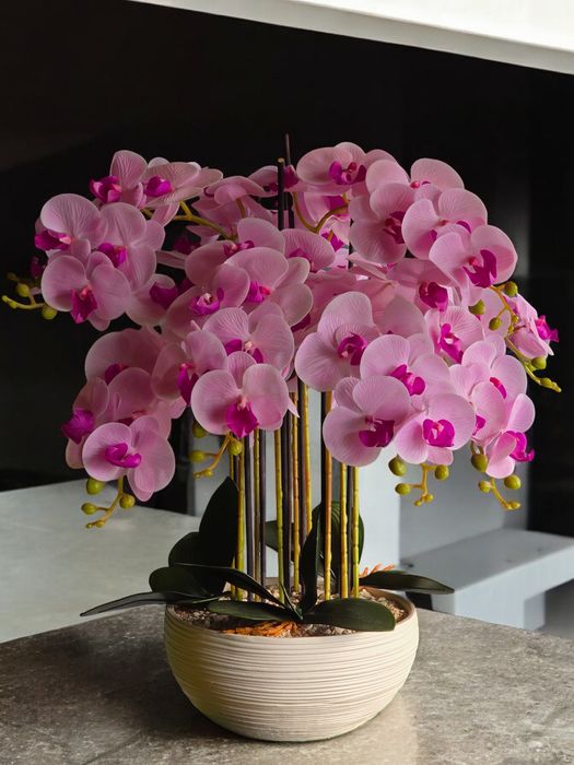 Компазиции из искувенных Орхидеи (Орхидея)