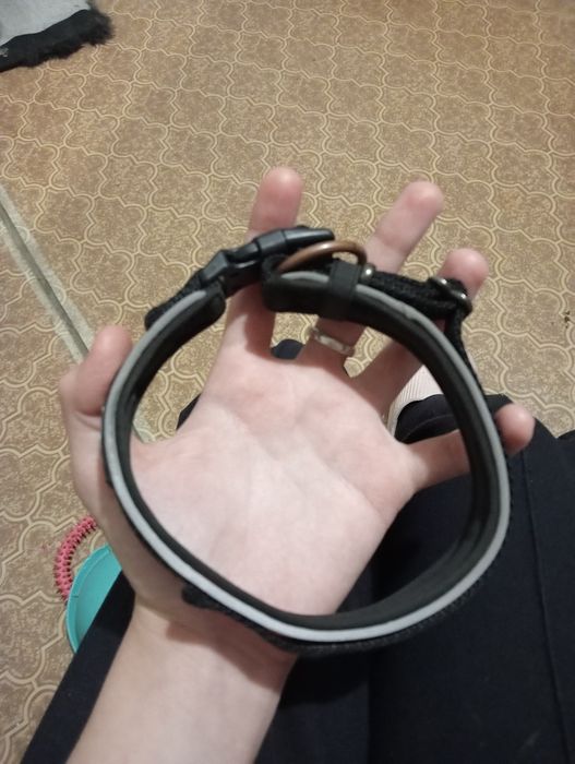 Продаю амуницию для собак