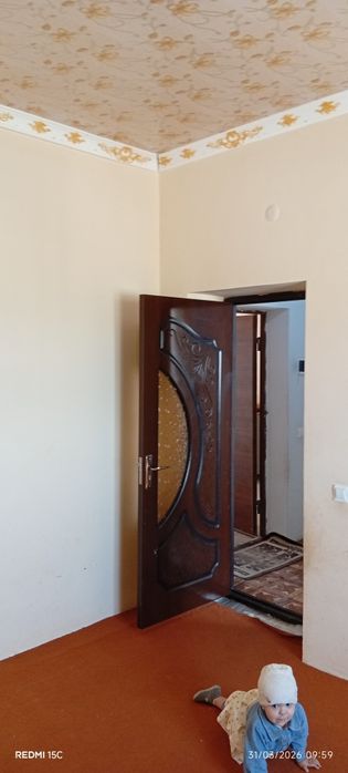 Шарк малочка калсо