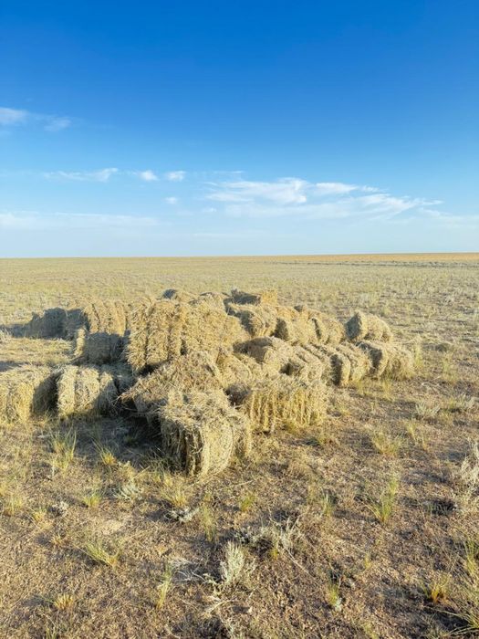 Малға арналған шөп!Доставка Актау каласына тегын