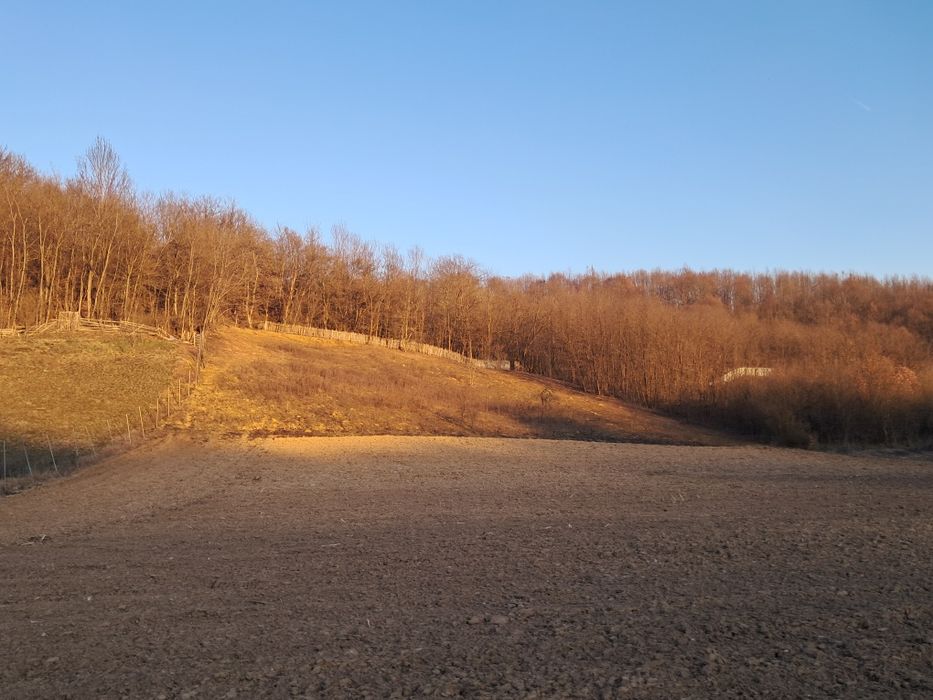 Vând teren intravilan