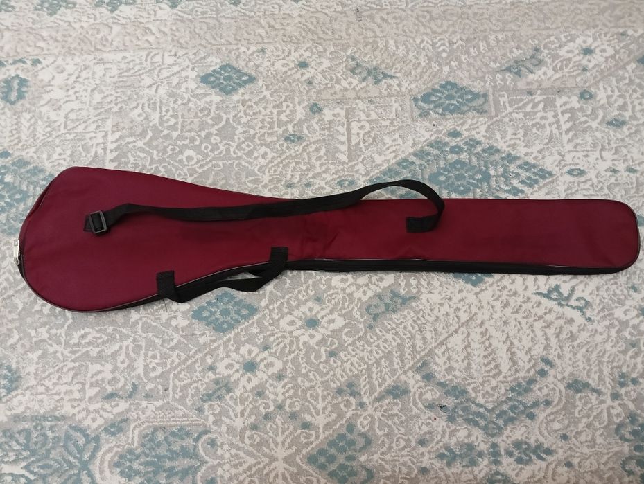 Домбыраның чехолы