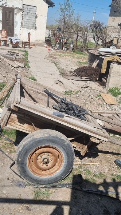 Eshak aravasi bilan arzonga sotvommiza