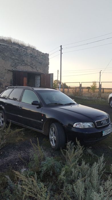 Продам или обмен подсос бычков