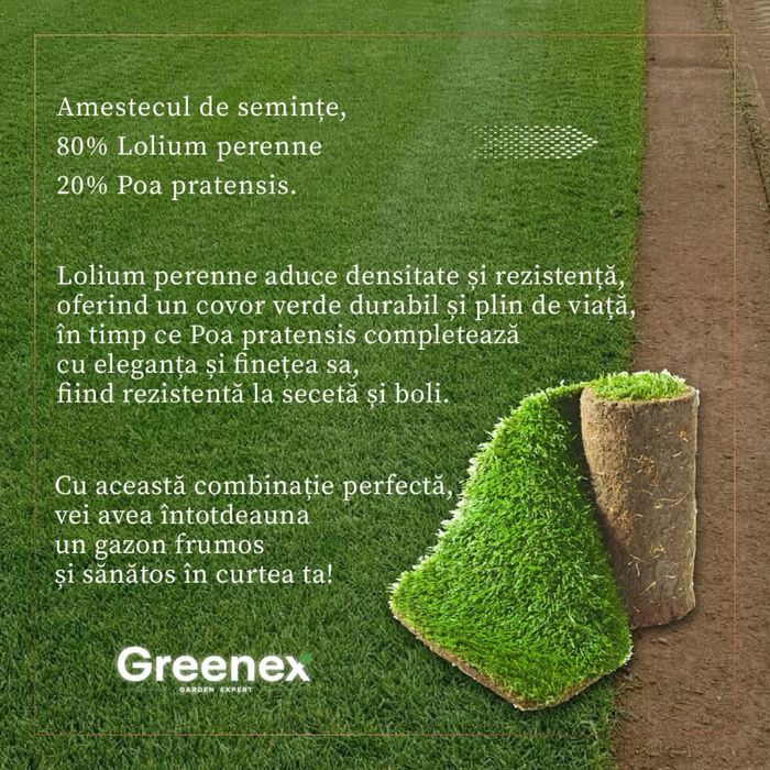Rulou gazon premium
