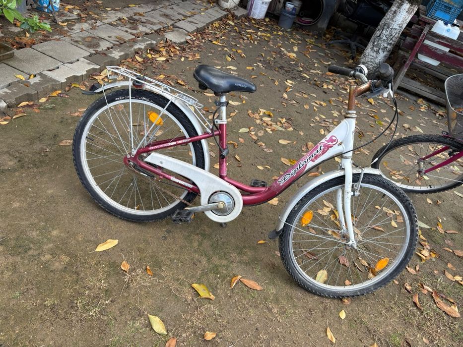 Biciclete de vanzare