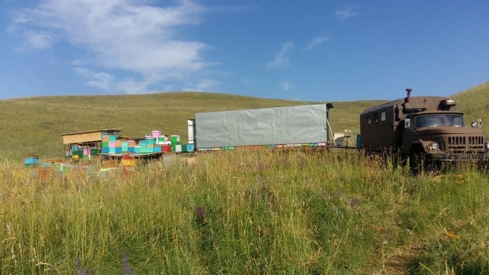 Продам мед со своей пасеки