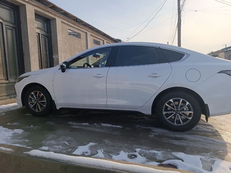 BYD Chazor 2 - позиция 55 км