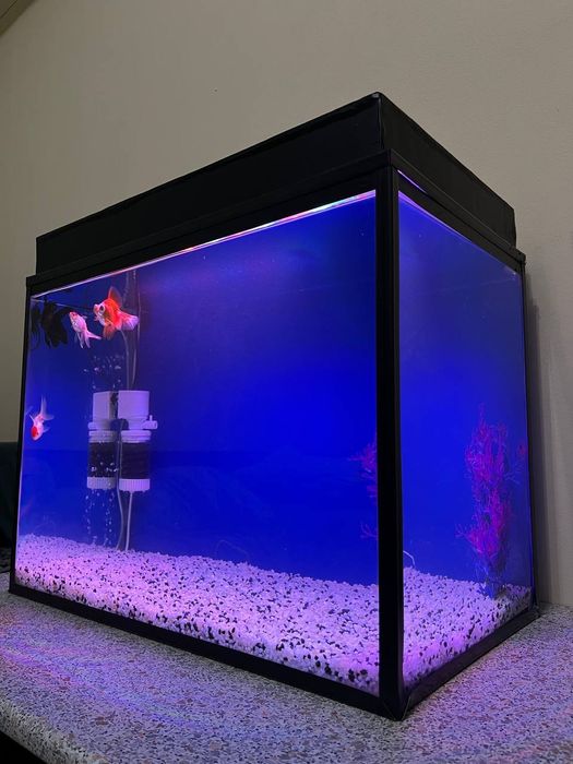 Аквариум 100л  Рыбки в подарок