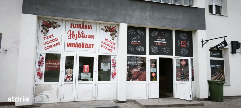 Spatiu comercial Cristesti, 20 mp, vis-a-vis de Darina