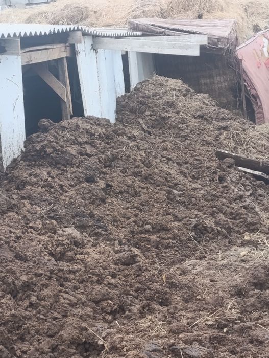 Одам даром навоз