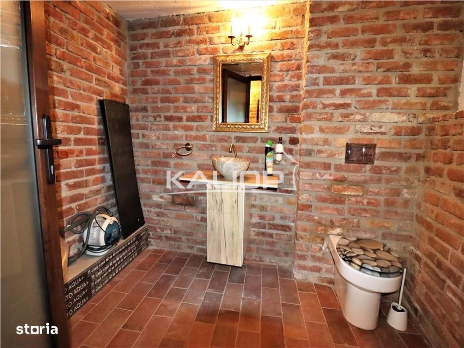 Casa individuala | 8 camere | 1200 mp | Piscina | Crama | Garaj | Fage