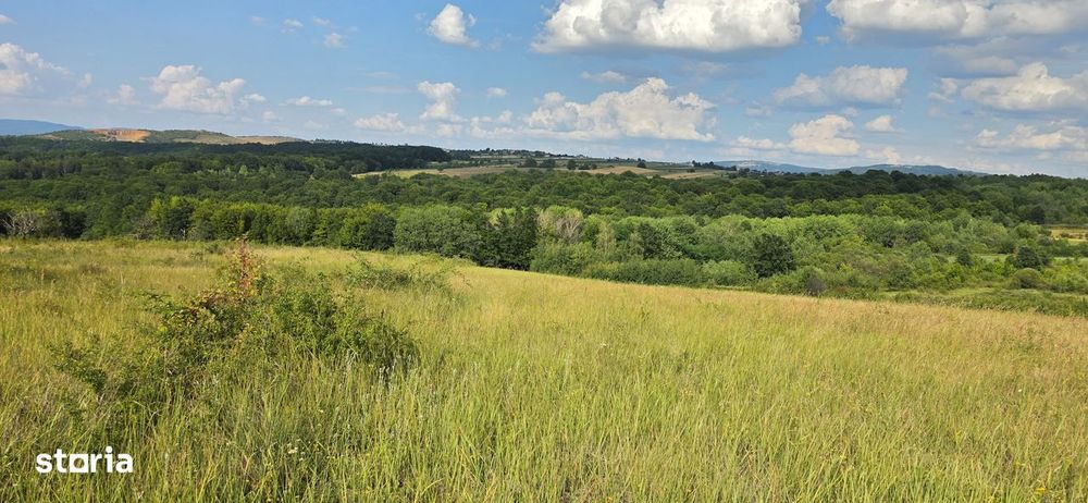 Teren Extravilan 9.528mp/ Vârciorog -Bihor / 30 km de Oradea