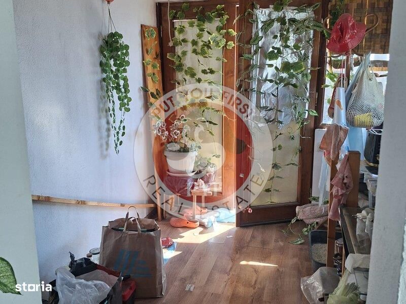 Facultatea artelor | Studio | 44mp | Semidec | RS I | B12089