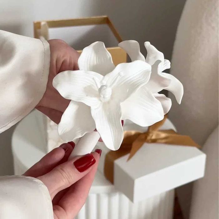 Ароматический диффузор Chando, 200 мл