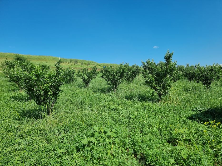Продам земельный участок 4 соток