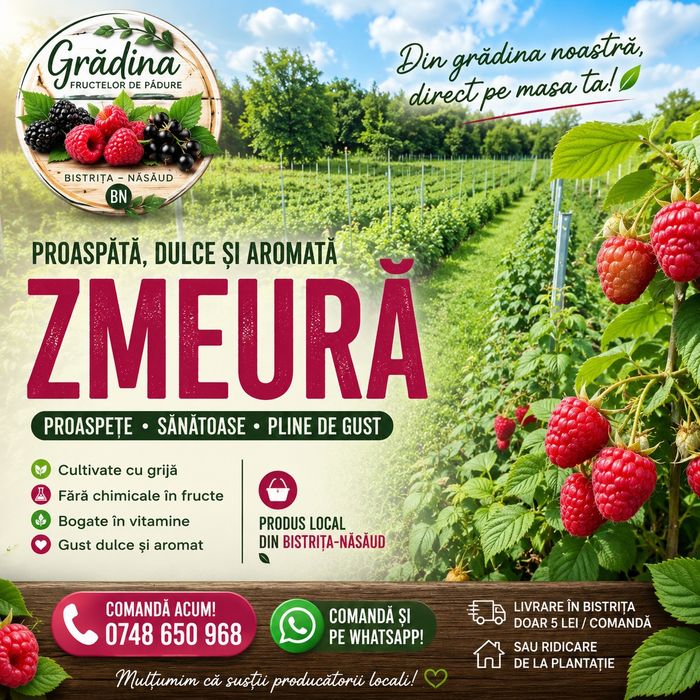 Fructe zmeura proaspete