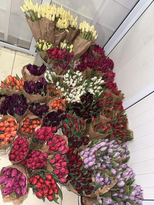 Тюльпаны по 650тг