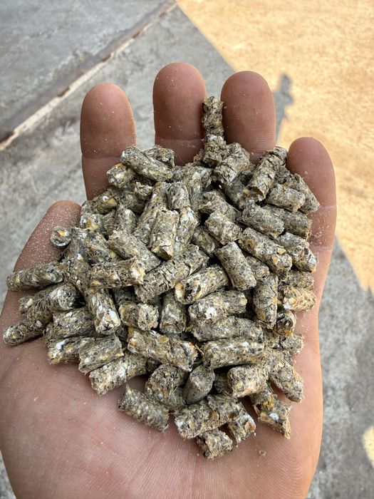 Vând granule furajere