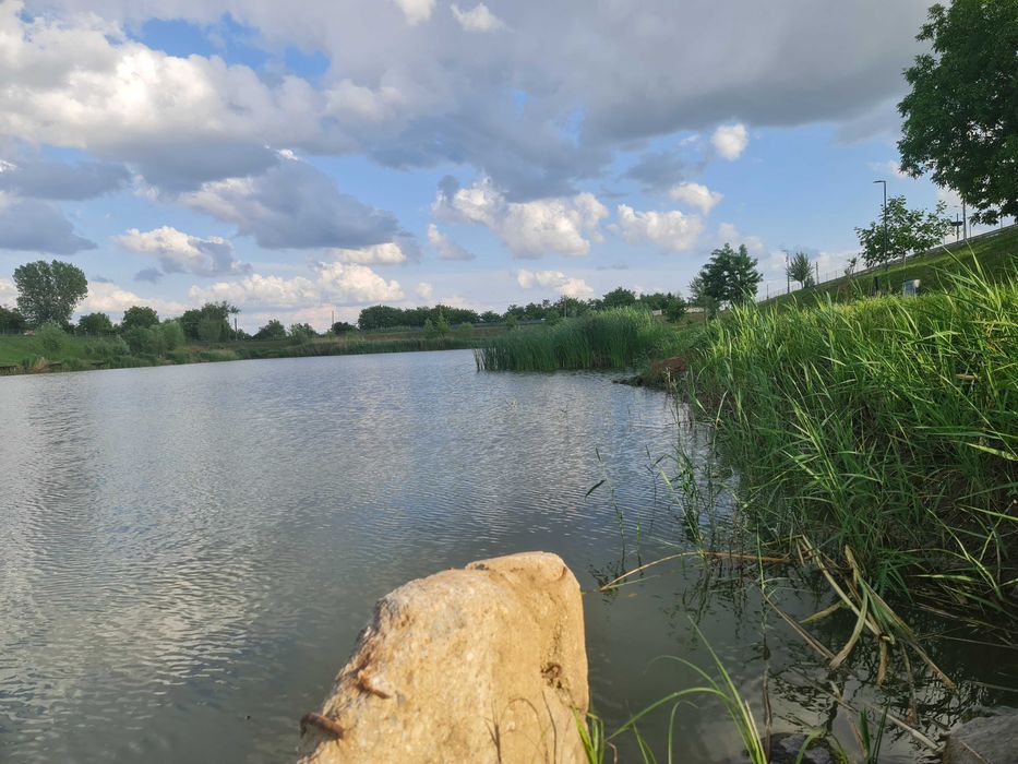 Lac de vânzare – Vetiș, județul Satu Mare