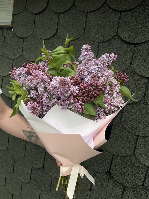 Апрельская сирень