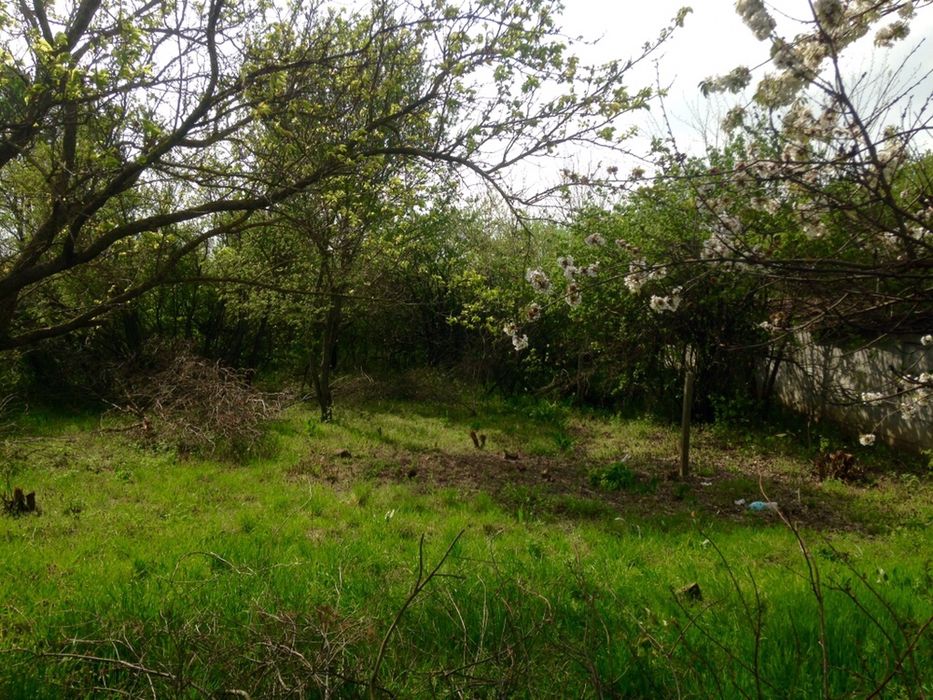 Дворно място гр.Шумен с.Панайот Волов на главен пат