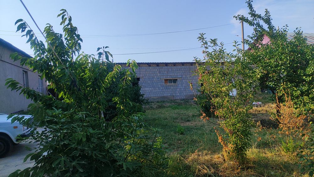 Продается дом с участком
