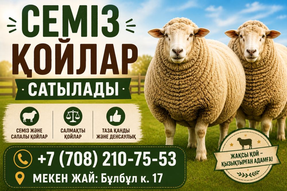 Қой сатылады. Кой сатамыз. Мекен жай: бұлбұл көшесі 17