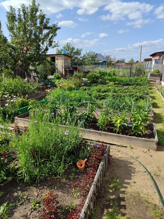 Продам дачу в новопавловке