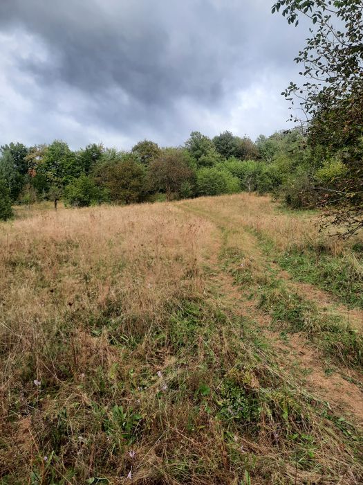 Teren intravilan de vanzare Chiuzbaia