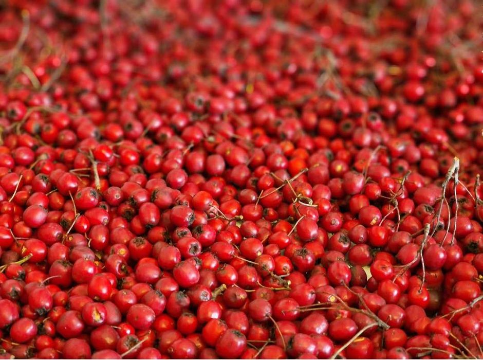 Fructe de paducel (gherghine)