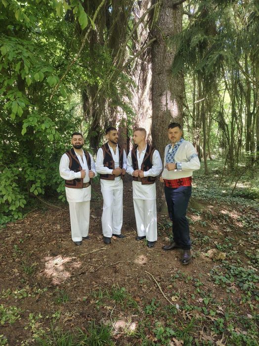 Formatie de muzica populara si de petrecere pentru eveimente nunti, botezuri, majorate