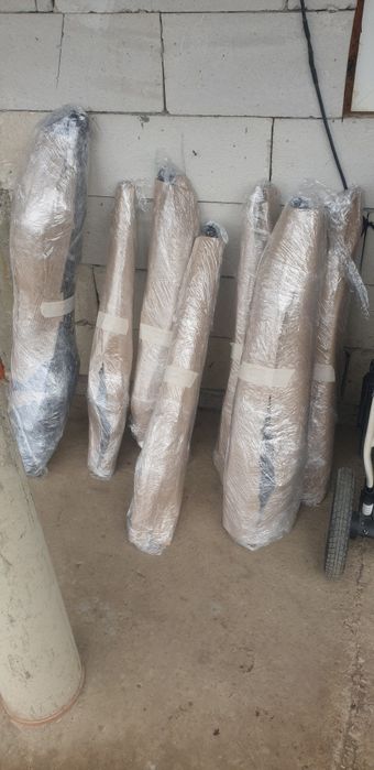 puieți fag carpân plop brad mesteacăn