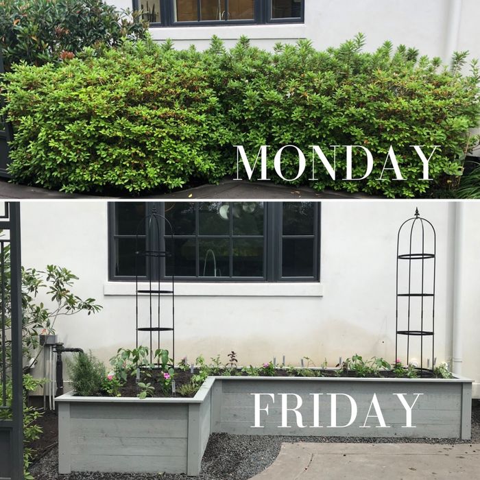 Servicii Profesionale Amenajare Curte gazon iarba debarasare Întreține